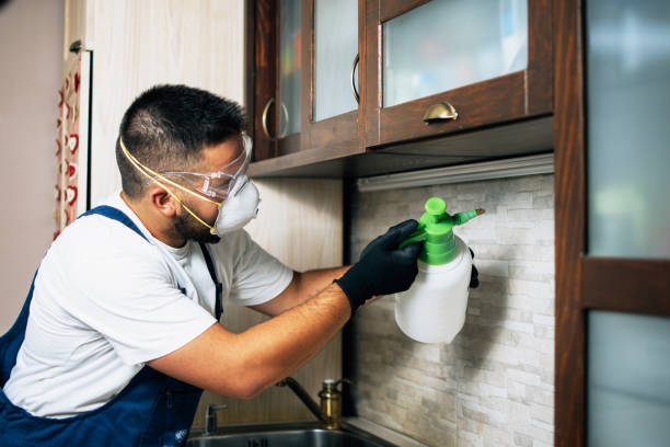  Mountain Home, AR Pest Control Pros