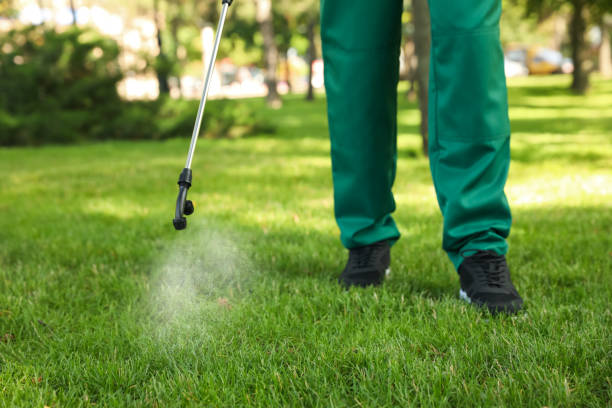 Pest Control for Restaurants in Mountain Home, AR