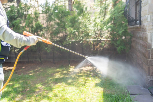 Best Termite Control Services  in Mountain Home, AR