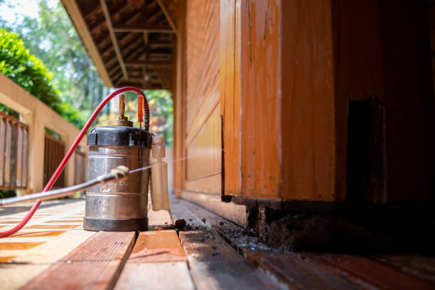 Best Affordable Pest Control Services  in Mountain Home, AR
