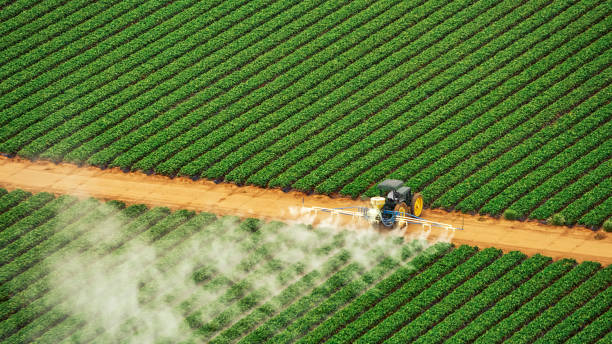 Best Commercial Pest Control Services  in Mountain Home, AR